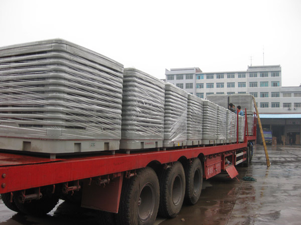 ؓ(f��)���L(f��ng)�C�S�Ҍ���չʾ